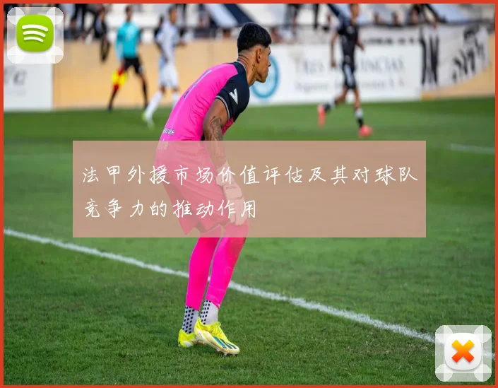 法甲外援市场价值评估及其对球队竞争力的推动作用