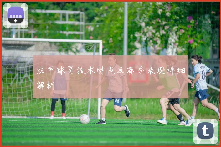 法甲球员技术特点及赛季表现详细解析