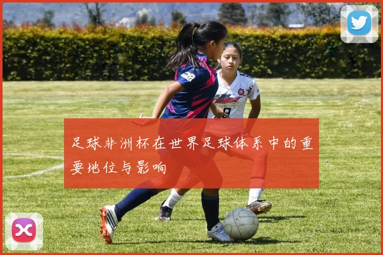 足球非洲杯在世界足球体系中的重要地位与影响