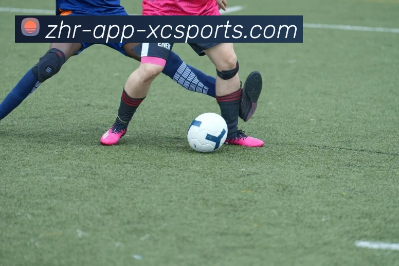 杏彩体育平台生态图