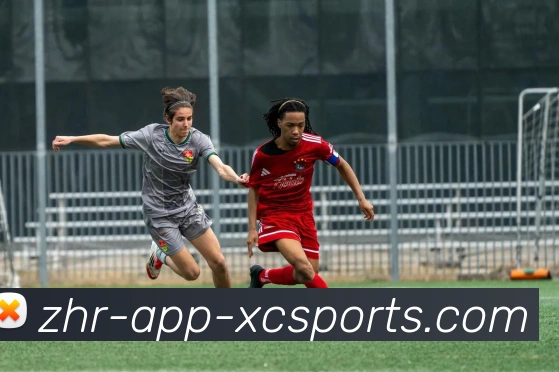 杏彩体育全站App